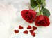 The-best-top-desktop-roses-wallpapers-hd-rose-wallpaper-1-two-red-roses
